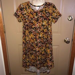 LuLaRoe Carly dress